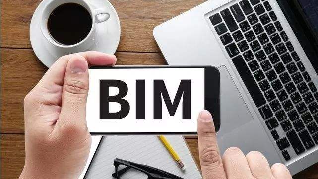 bim.jpg